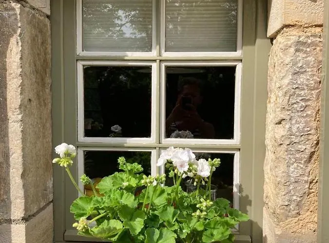 La Pi'ternelle Bed & Breakfast